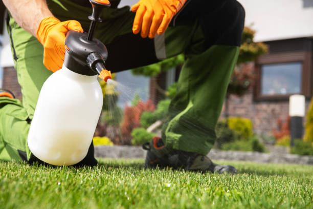 Best Best Pest Control Companies  in East Lansing, MI