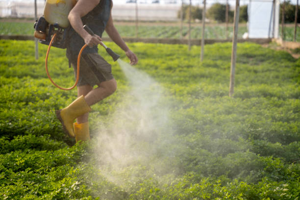 Best Best Pest Control Companies  in East Lansing, MI